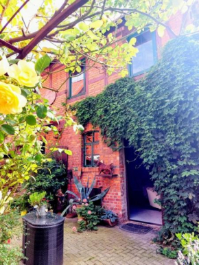 TheBackyard